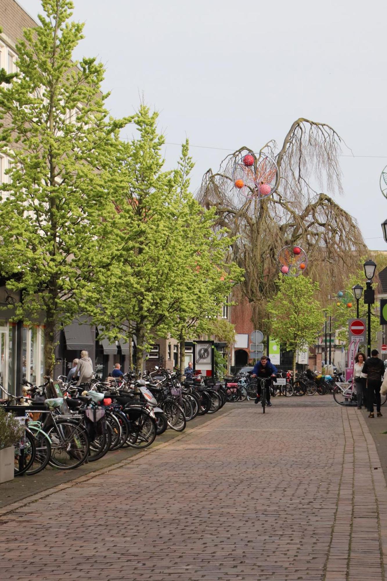 Boxtel, Appartement المظهر الخارجي الصورة